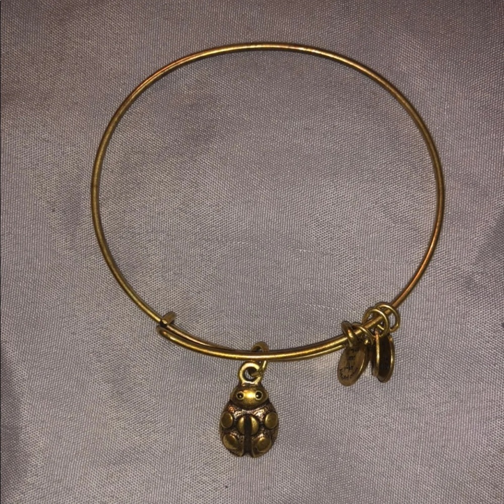 Alex and Ani Bracelet